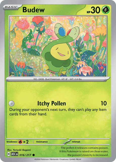 Budew — Ascended Heroes 16