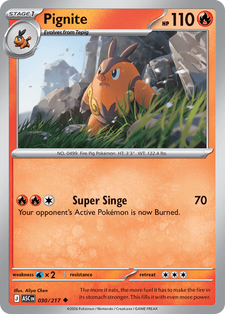 Pignite — Ascended Heroes 30