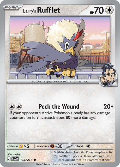 Larry's Rufflet — Ascended Heroes 173