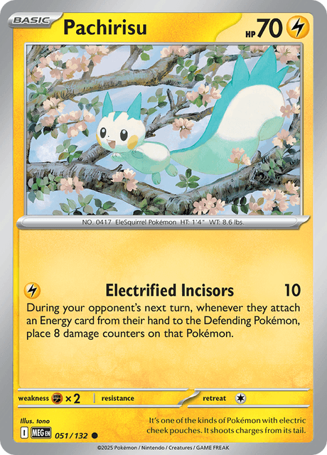 Pachirisu — Mega Evolution 51
