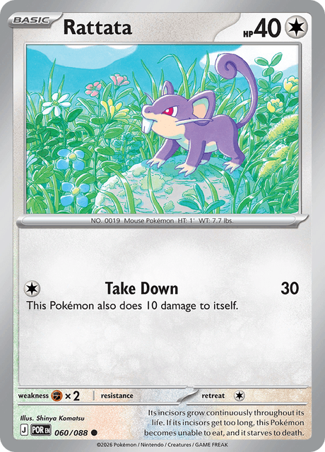 Rattata — Perfect Order 60
